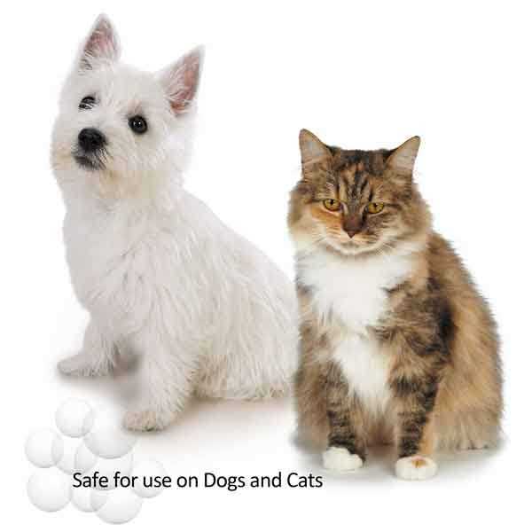 Fresh &n Clean Oatmeal &n Baking Soda Shampoo