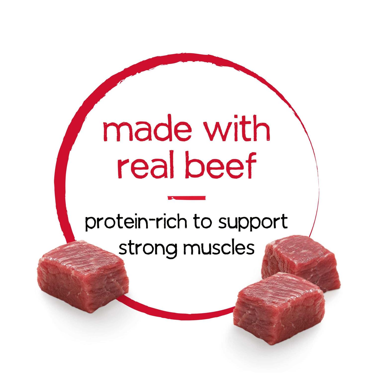 Purina Beneful Dog Food Infused