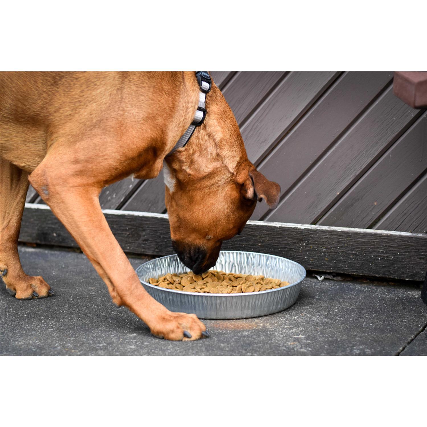 Bergan Galvanized Pet Pan 3 Quarts