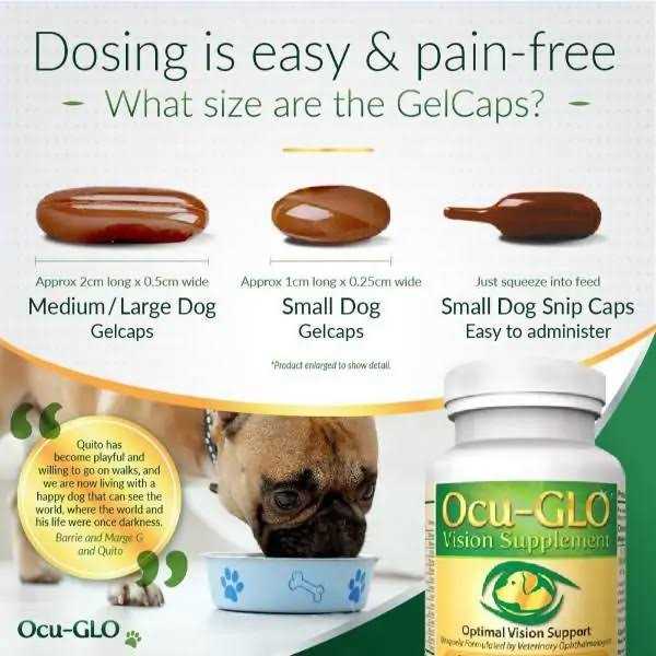 Ocu-gLO for Medium to Large Dogs