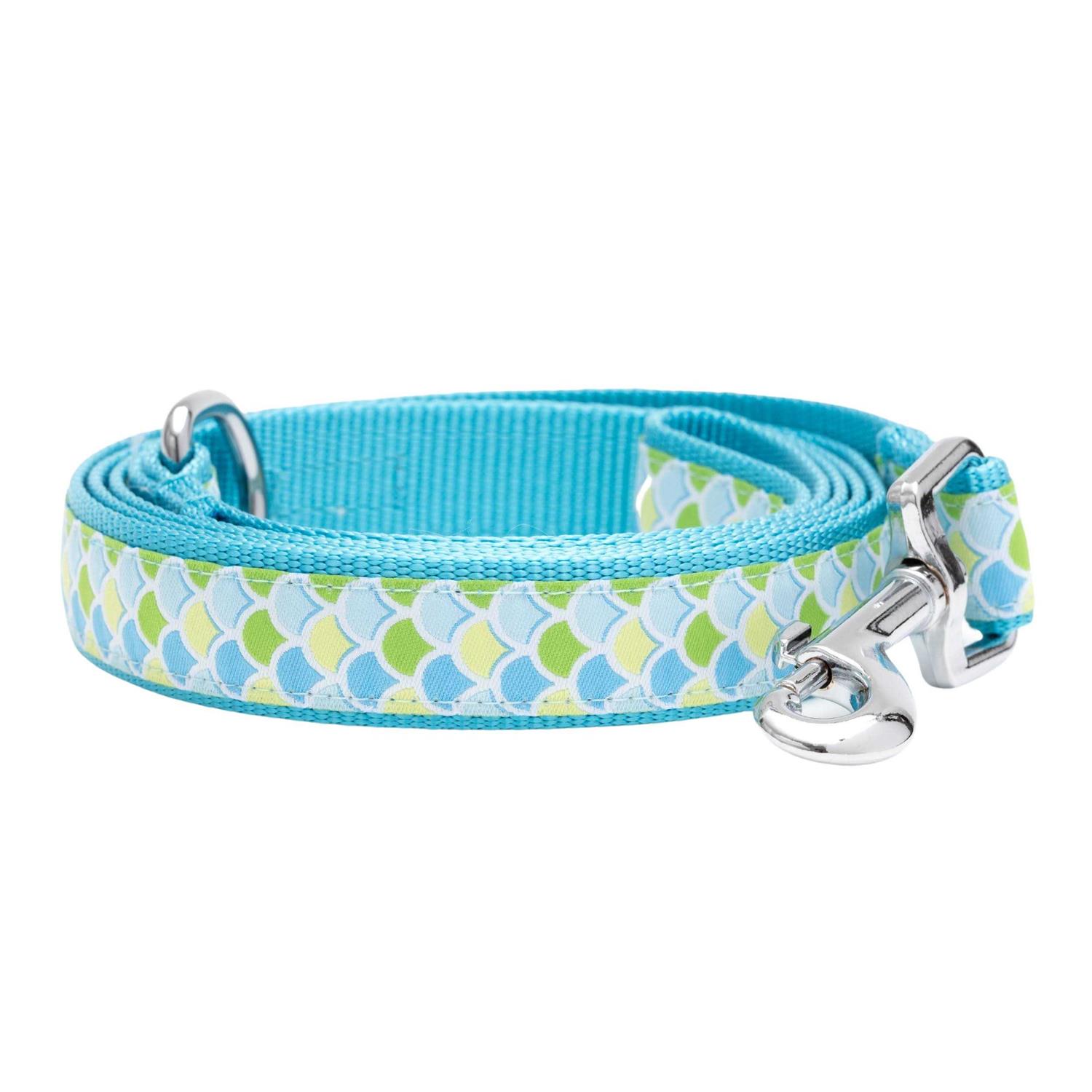 The Worthy Dog Collar
