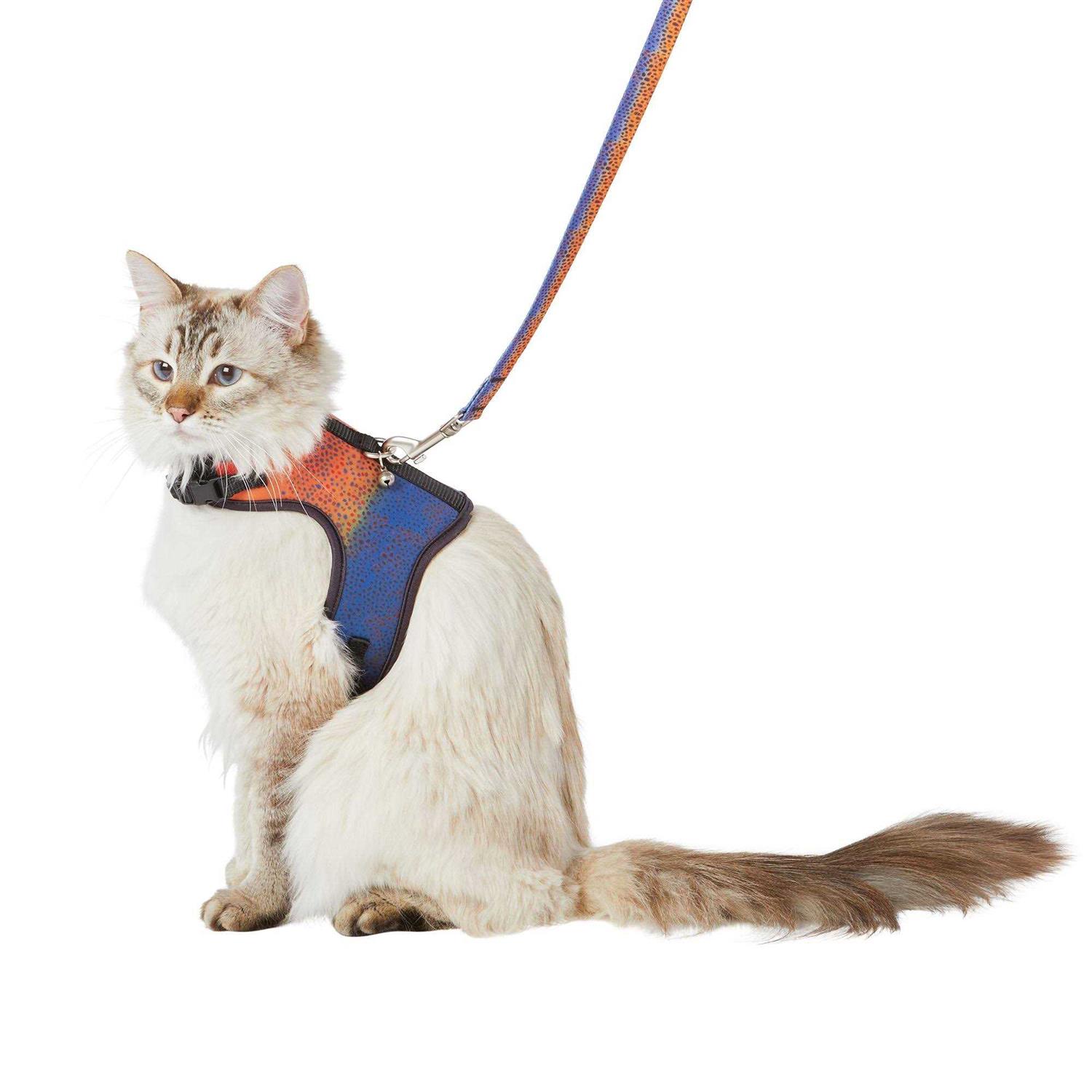 Whisker City Cat Leash & Harness Combo