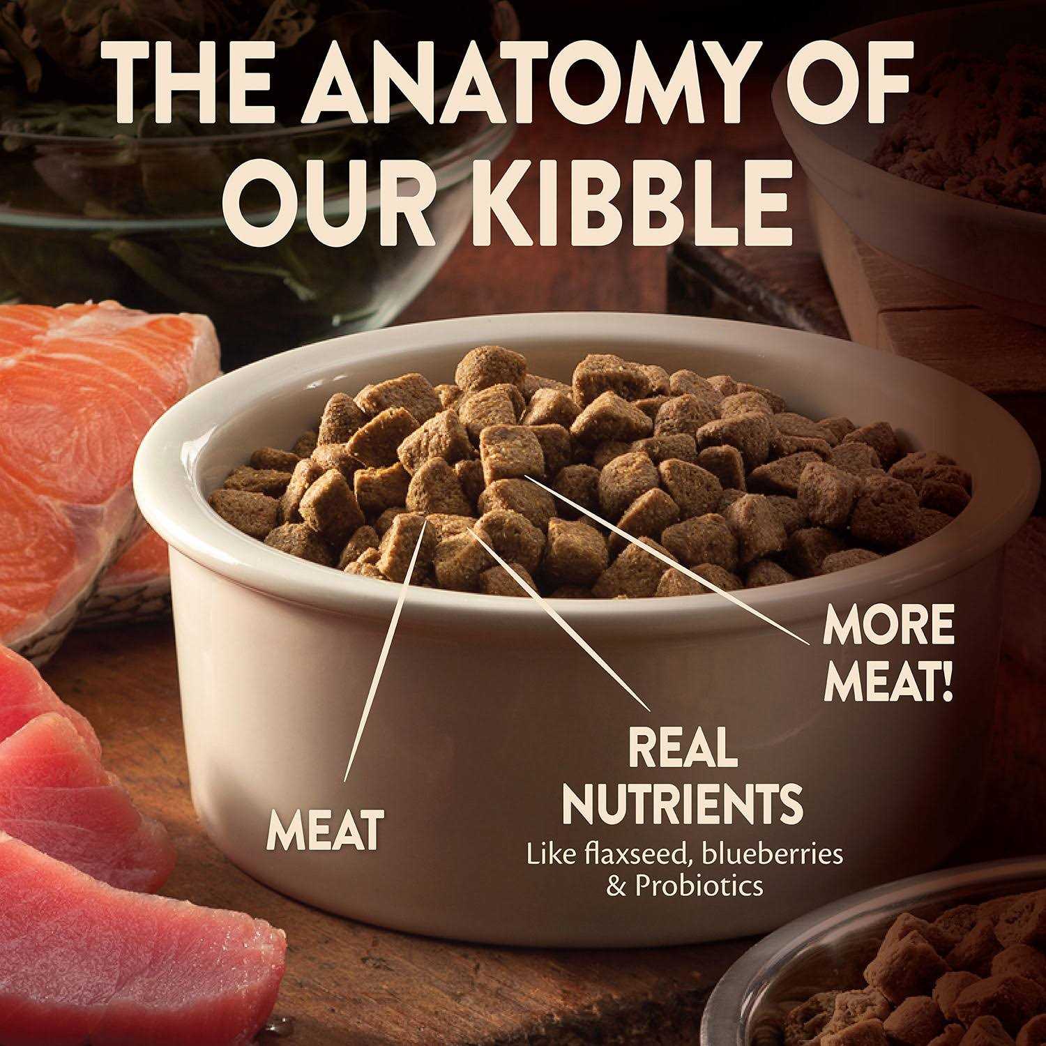 Wellness CORE Wild Game Grain-Free Dry Dog Food