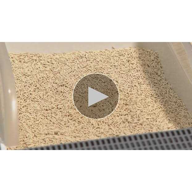 Beans Royale 2pcs Pack Tofu Cat Litter Clumping Kitty Litter