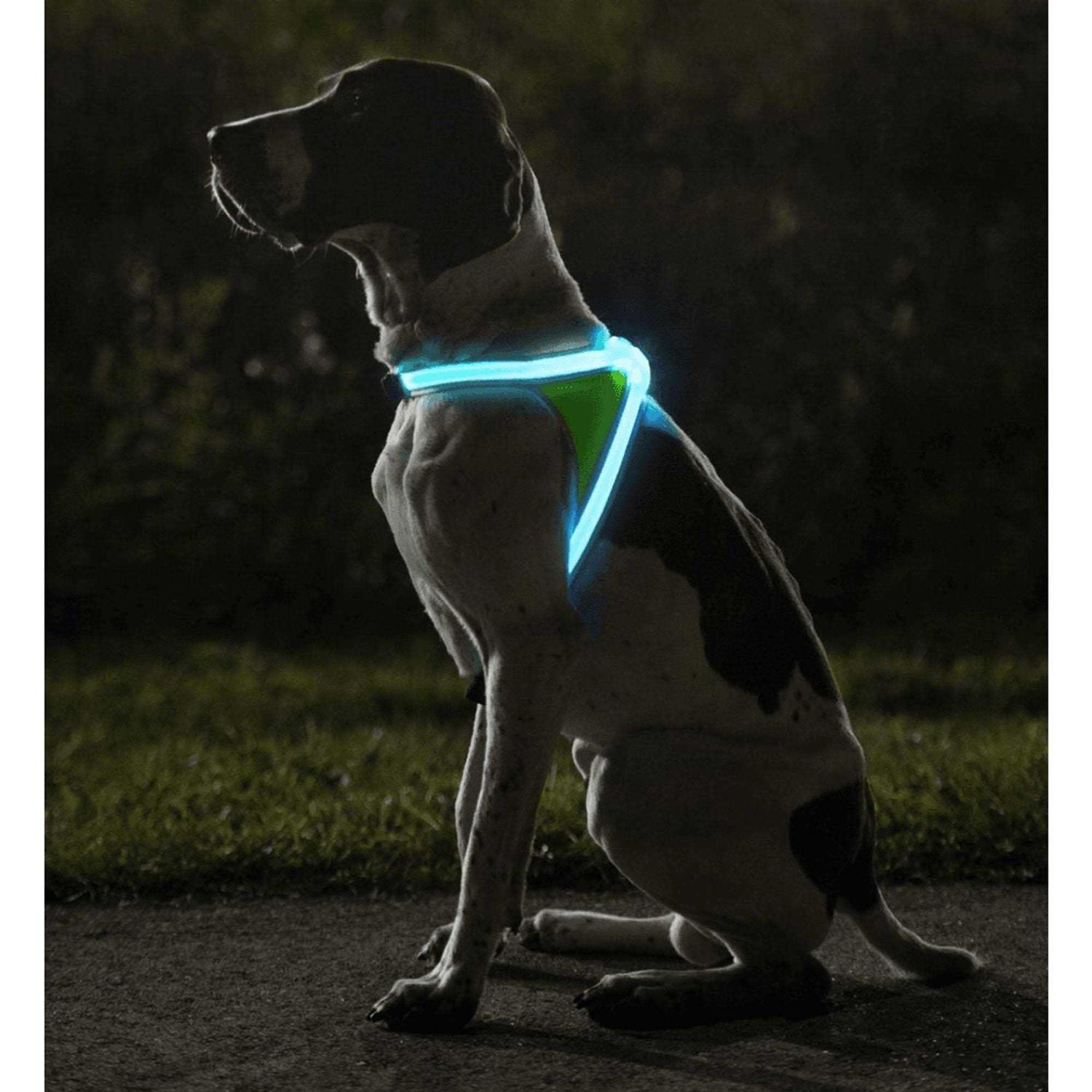 Noxgear LightHound LED Illuminated & Reflective Dog Harness