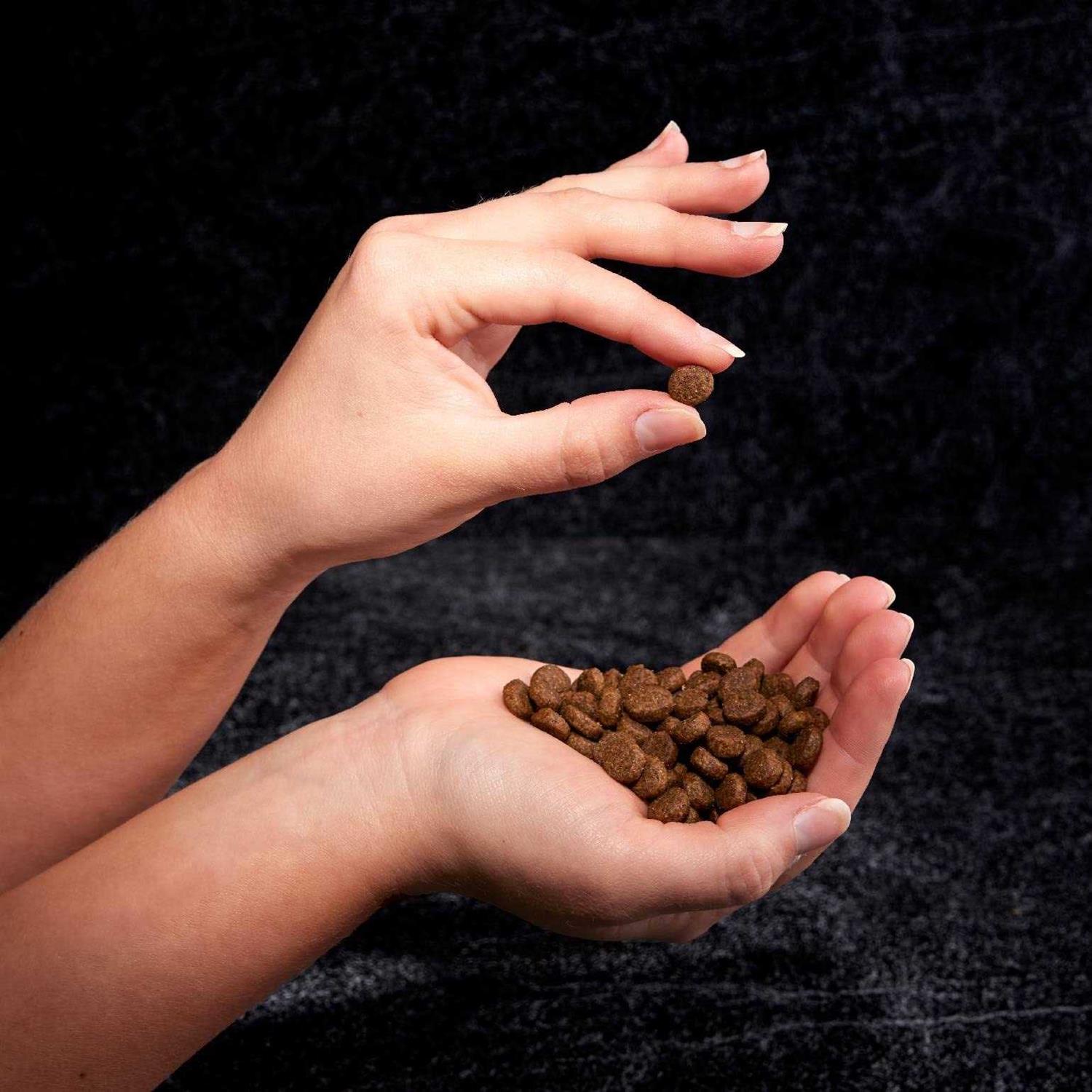 Crave Grain Free Adult Dry Dog Food with Protein