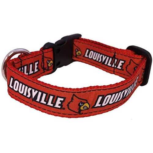 NCAA Dog Collar