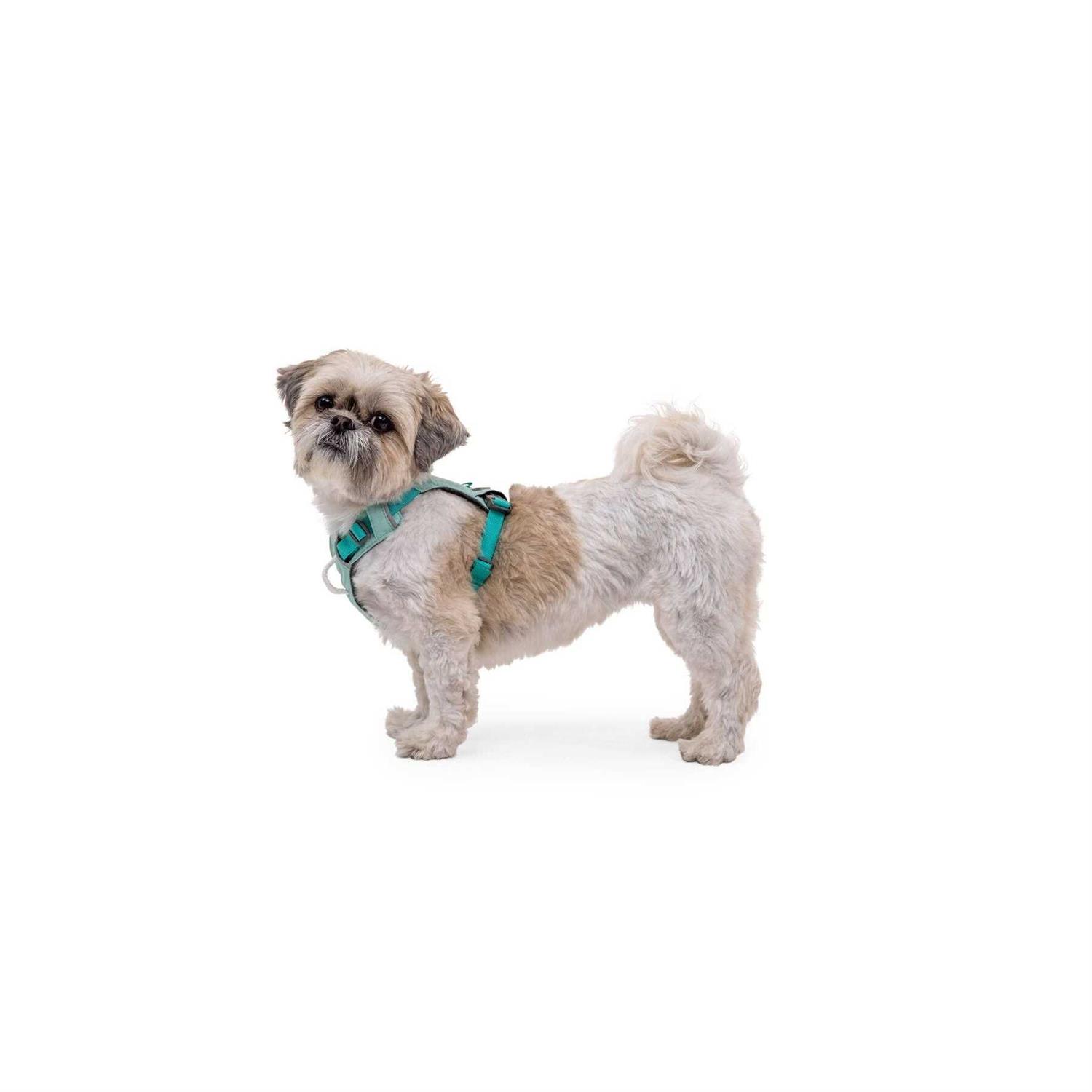 Ruffwear Hi & Light Dog Harness