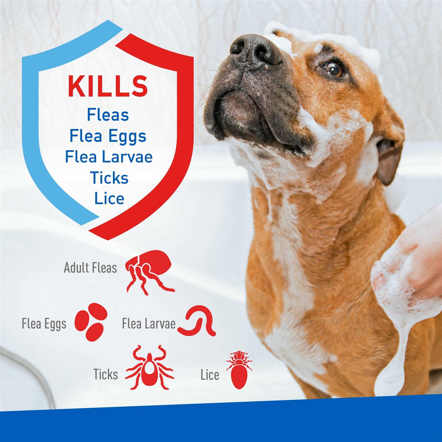 Adams Plus Flea Tick Shampoo