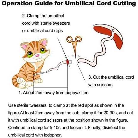 WEEGEEKS Whelping Kit,Whelping Kit for Puppies Birth with 12pcs Whelping Collars,Puppy Feeding Tube etc,Newborn Puppy Whelping Supplies