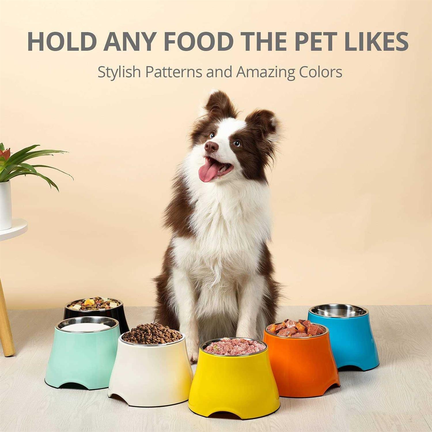 yoken Elevated Dog Bowls Stainless Steel Bowl,Prevention of Vertebrae Disease