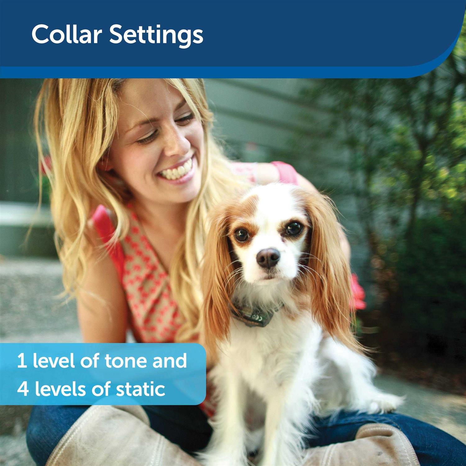 PetSafe Elite Little Dog In-Ground Fence Collar Receiver