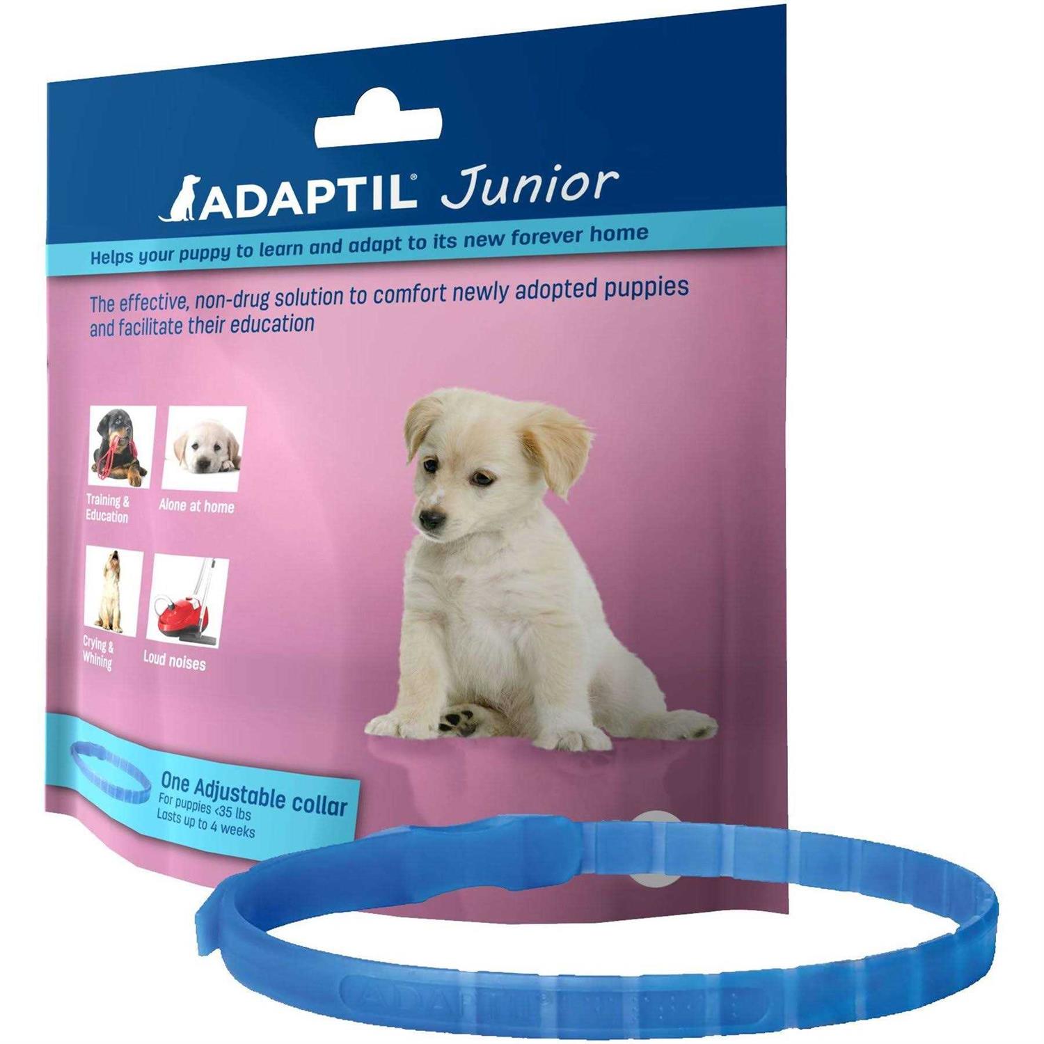 Adaptil Junior Collar