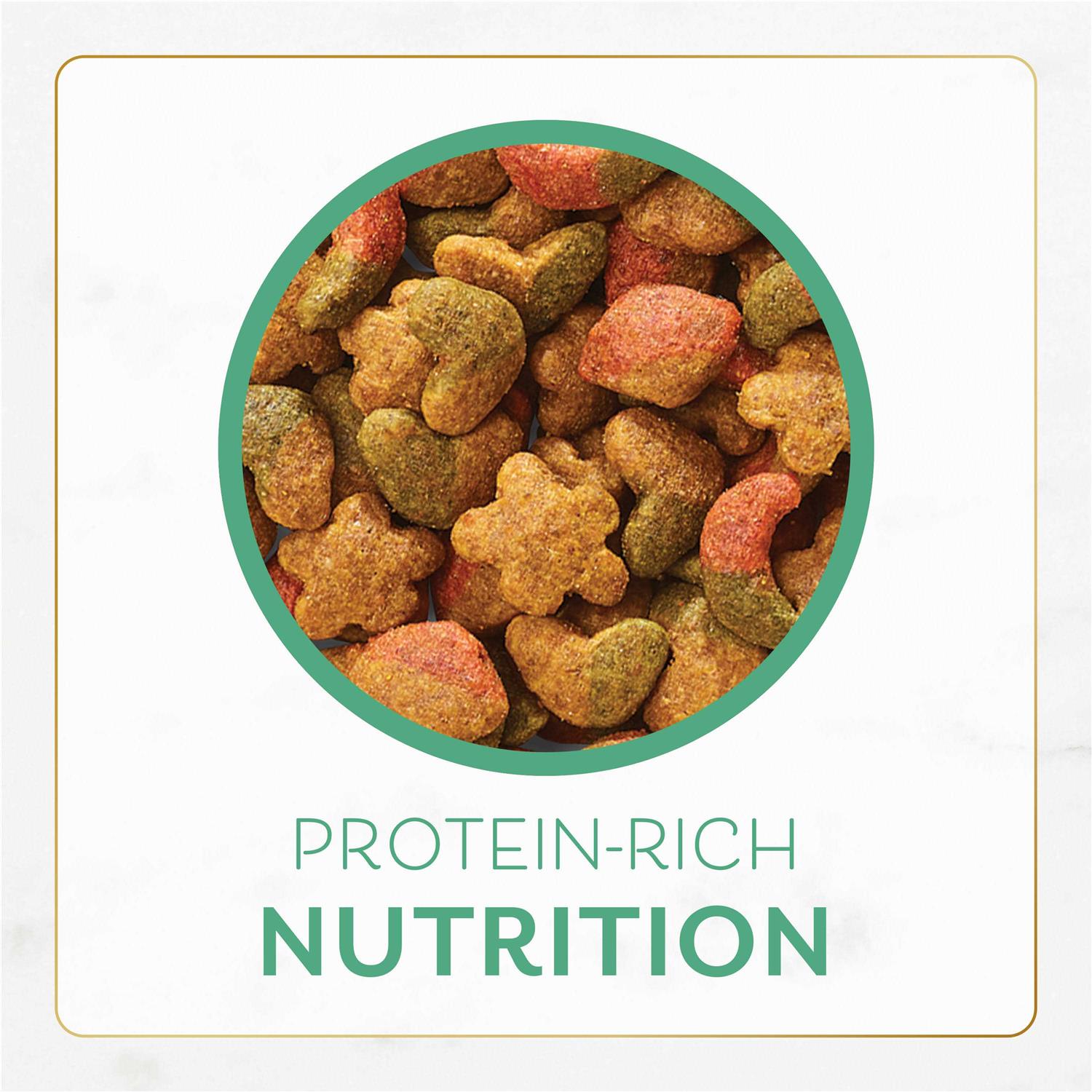 Fancy Feast Gourmet Ocean Fish and Salmon Dry Cat Food