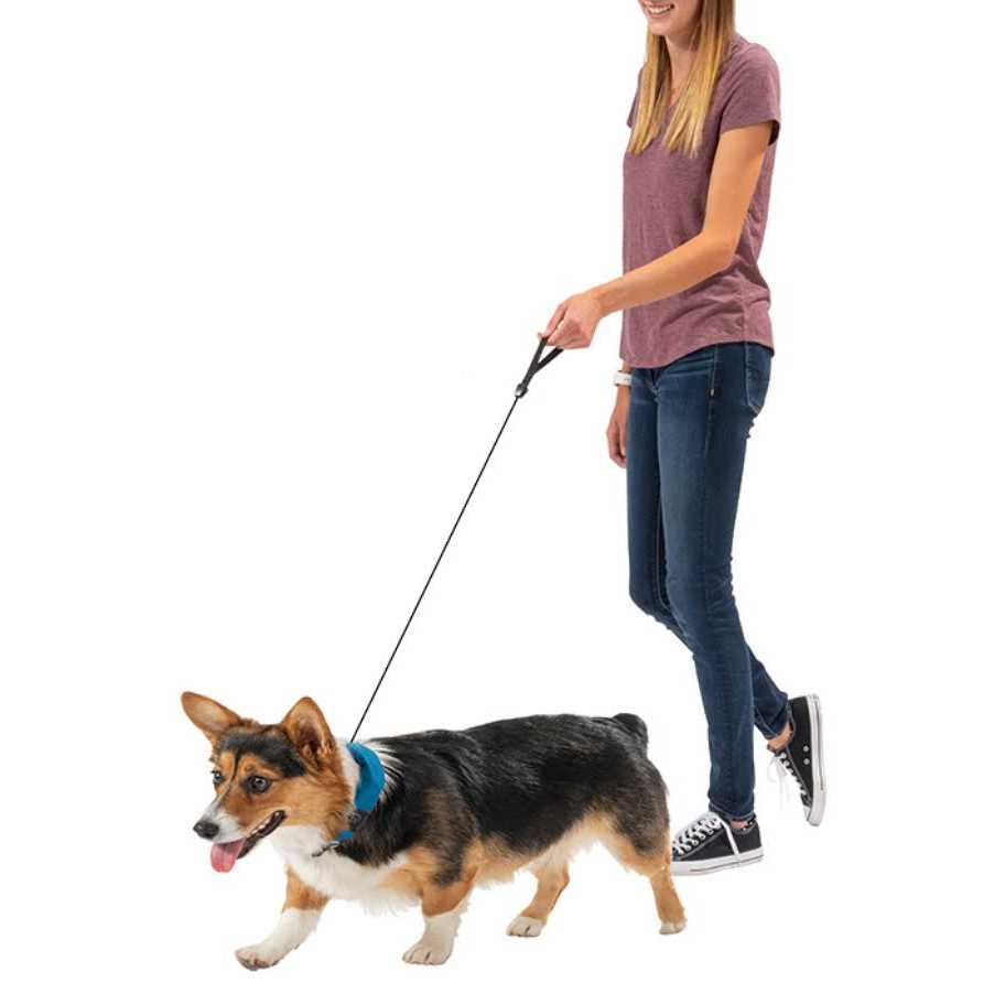 Nite Ize RadDog All-In-One Collar and Leash