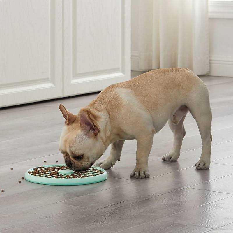 Outward Hound Fun Feeder Slo Tray Slow Feeder Dog Bowl
