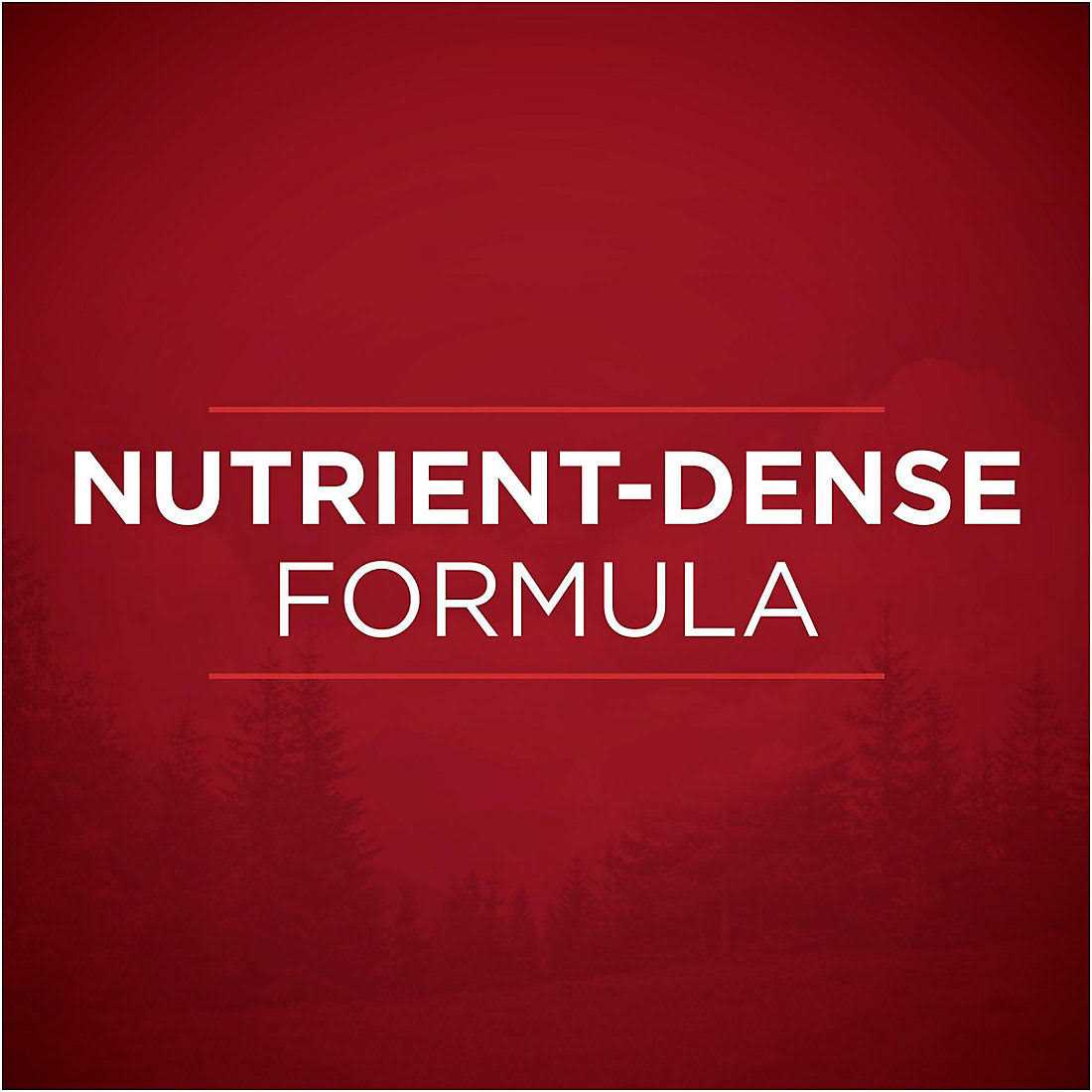 Purina ONE Natural Gravy Wet Dog Food Variety Pack SmartBlend True Instinct Tender Cuts