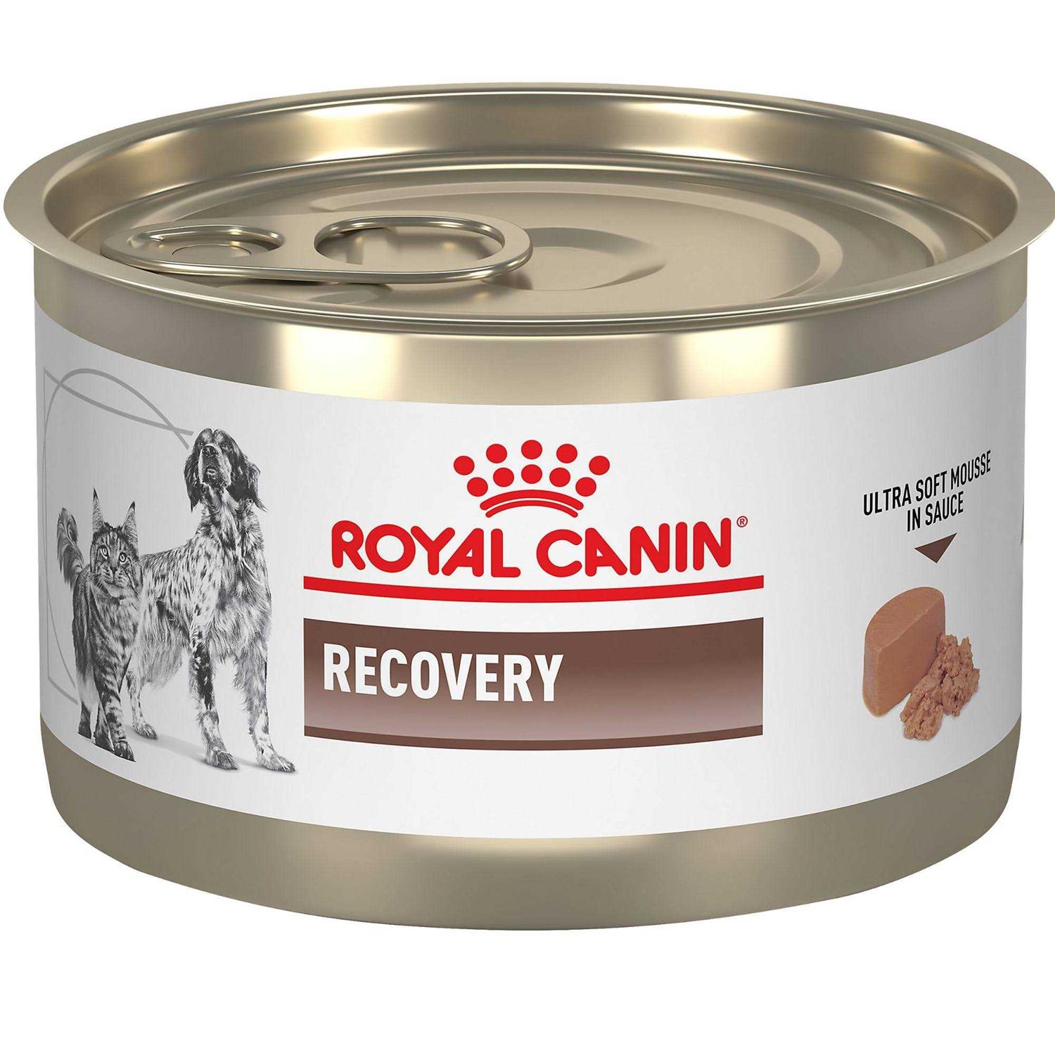 Royal Canin Veterinary Diet Feline and Canine Recovery Ultra Soft Mousse in Sauce Cat and Dog Food