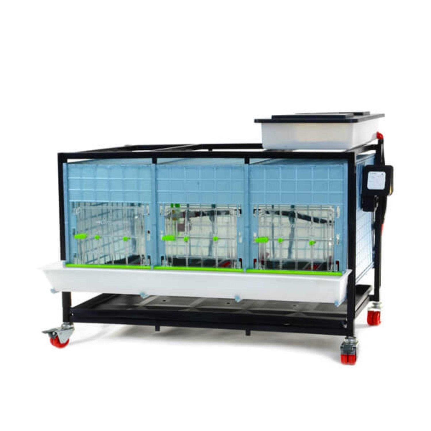 Hatching Time Chick Brooder 1 Layer H