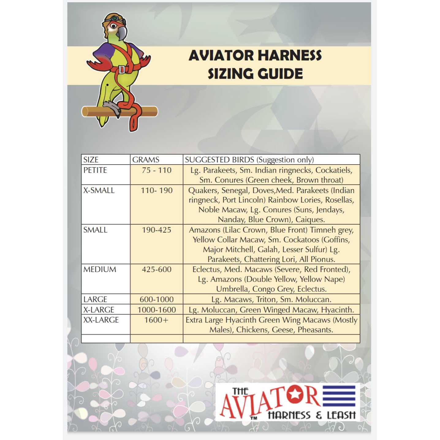 The Aviator Bird Harness and Leash