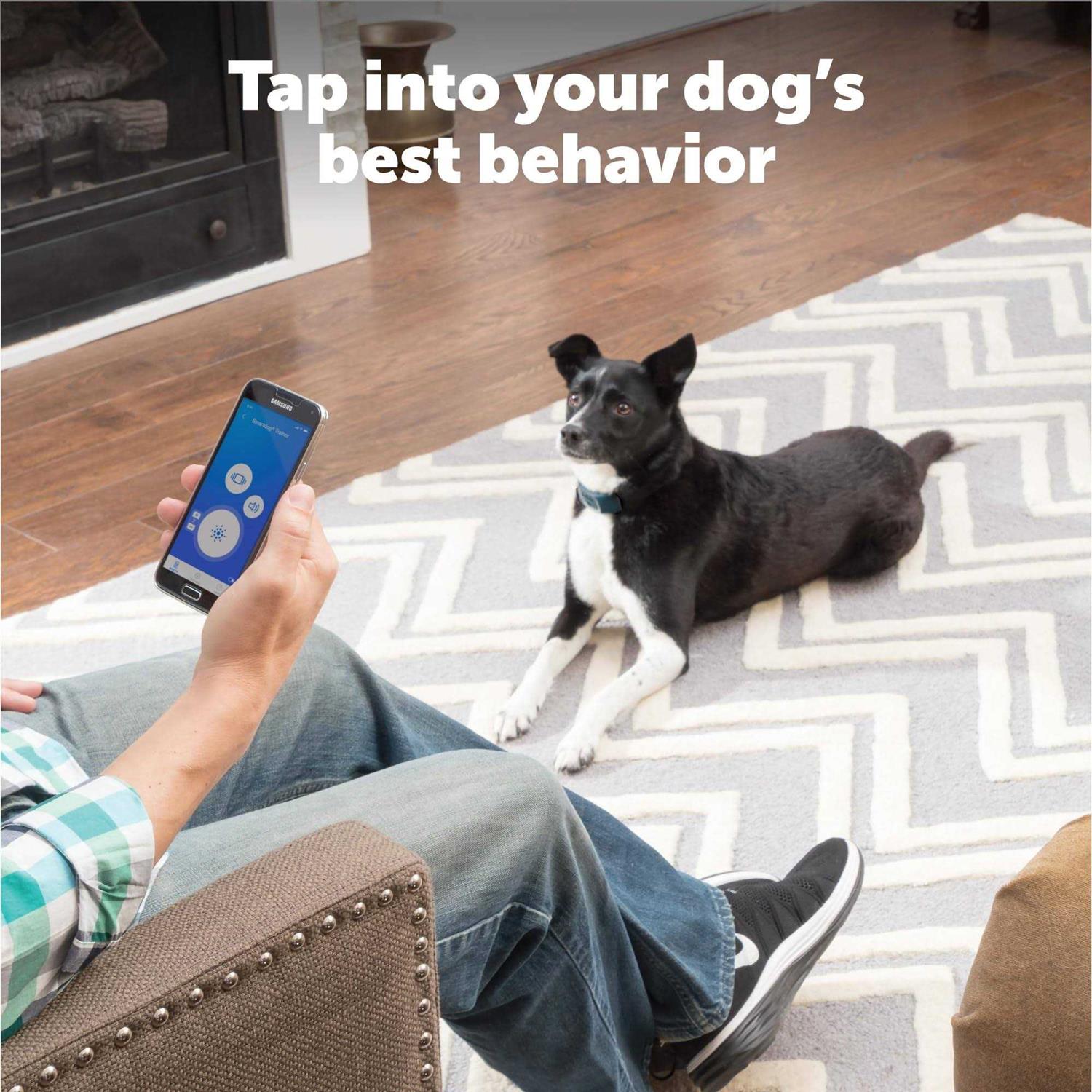 PetSafe Smart Dog Trainer