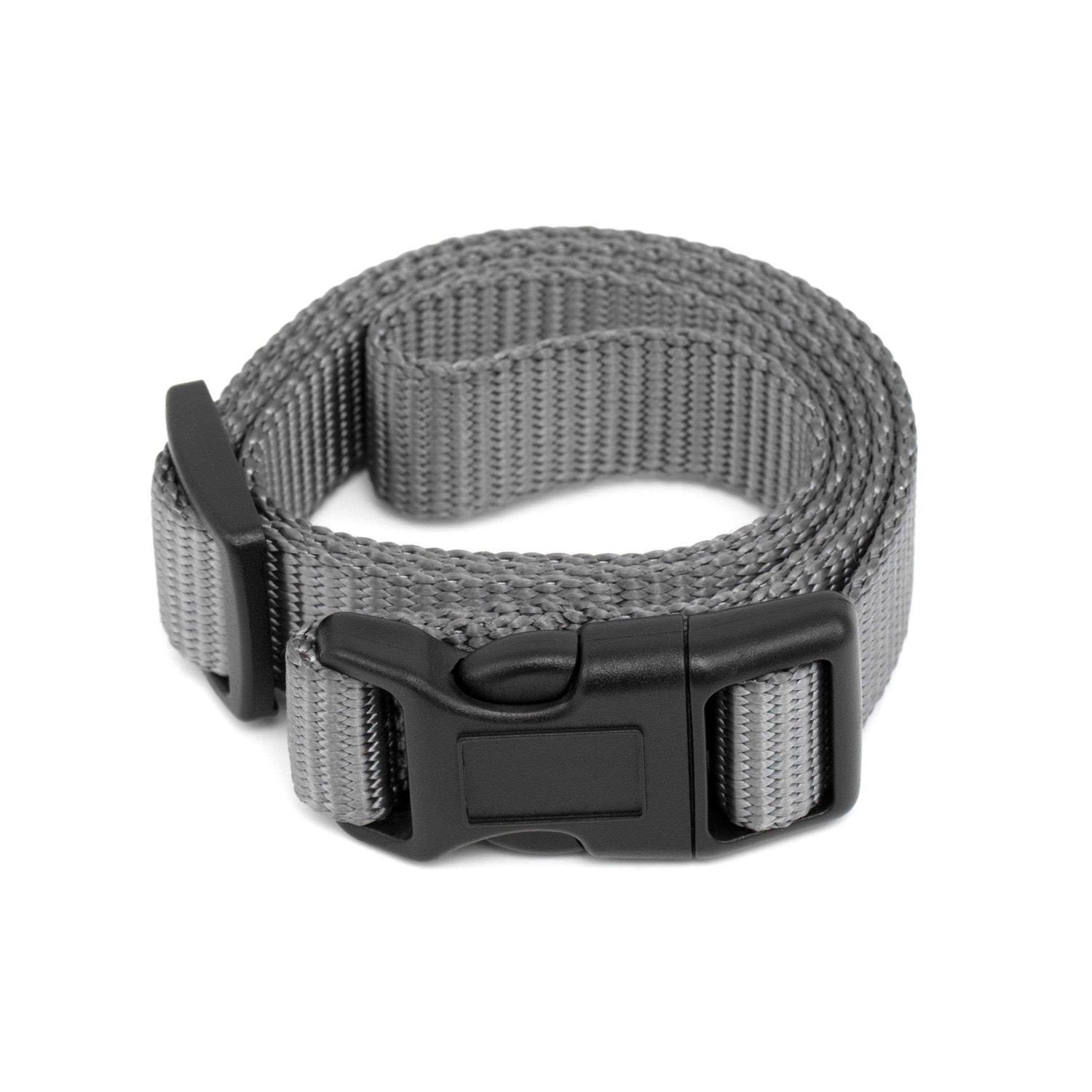 PetSafe 3/4 Replacement Collar Strap with no holes