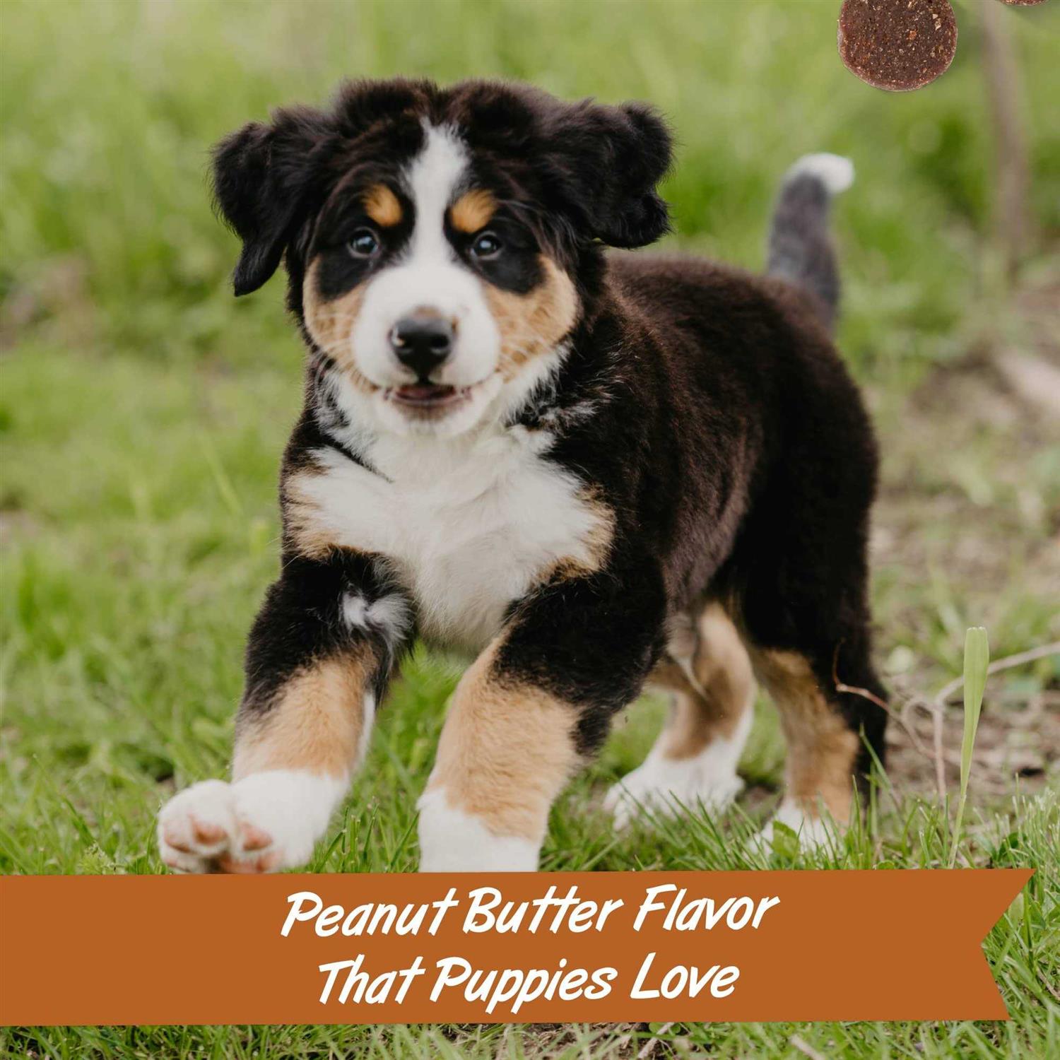 Pet Botanics Peanut Butter Puppy Bites Soft & Chewy Dog Training Treats