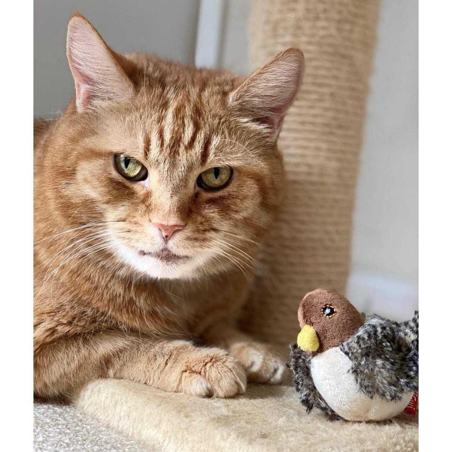 Gigwi Melody Chaser Motion Activated Bird