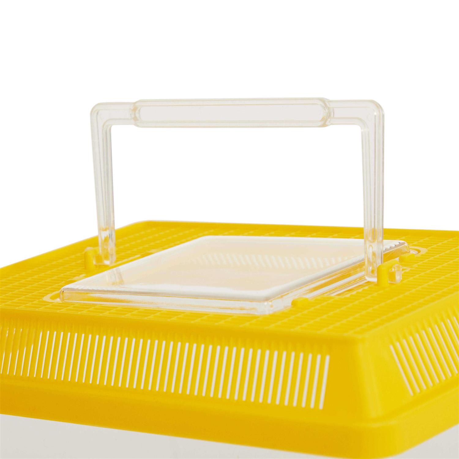 You & Me Small Pet Keeper Square