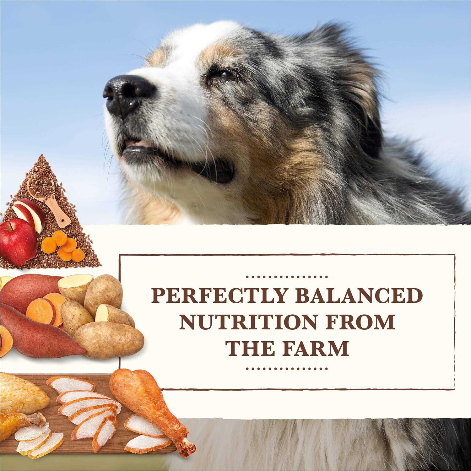 Whole Earth Farms Grain Free Chicken Turkey Recipe Dry Dog Food