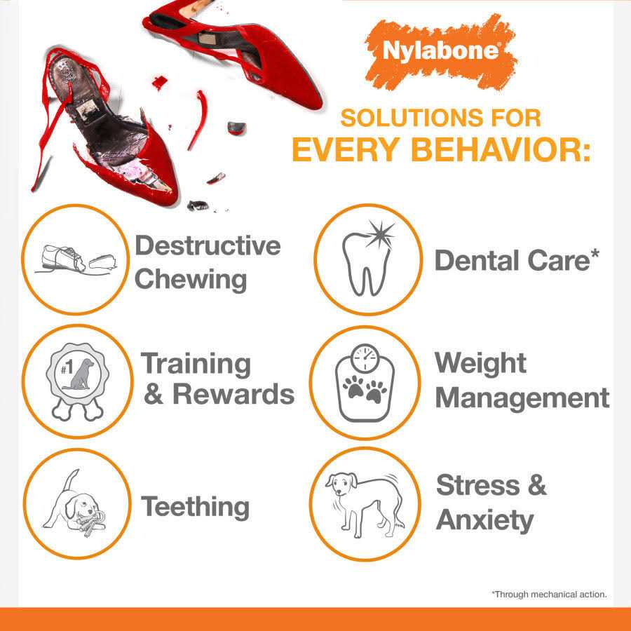 Nylabone Power Chew Lobster Dog Toy Filet Mignon