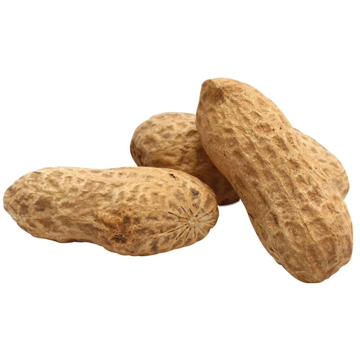 Song Blend Unsalted In-Shell Whole Peanuts Bird Food