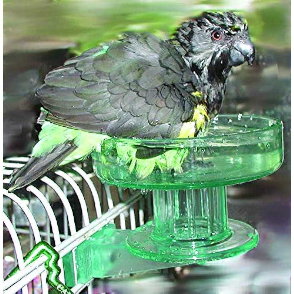 Lixit Quick Lock Bird Bath