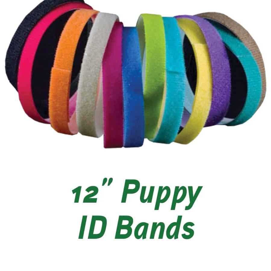 Puppies in Bloom Puppy ID Bands
