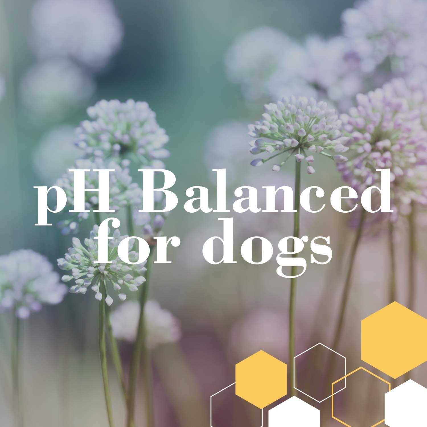 Burt’s Bees for Dogs Honeysuckle Itch-Soothing Spray