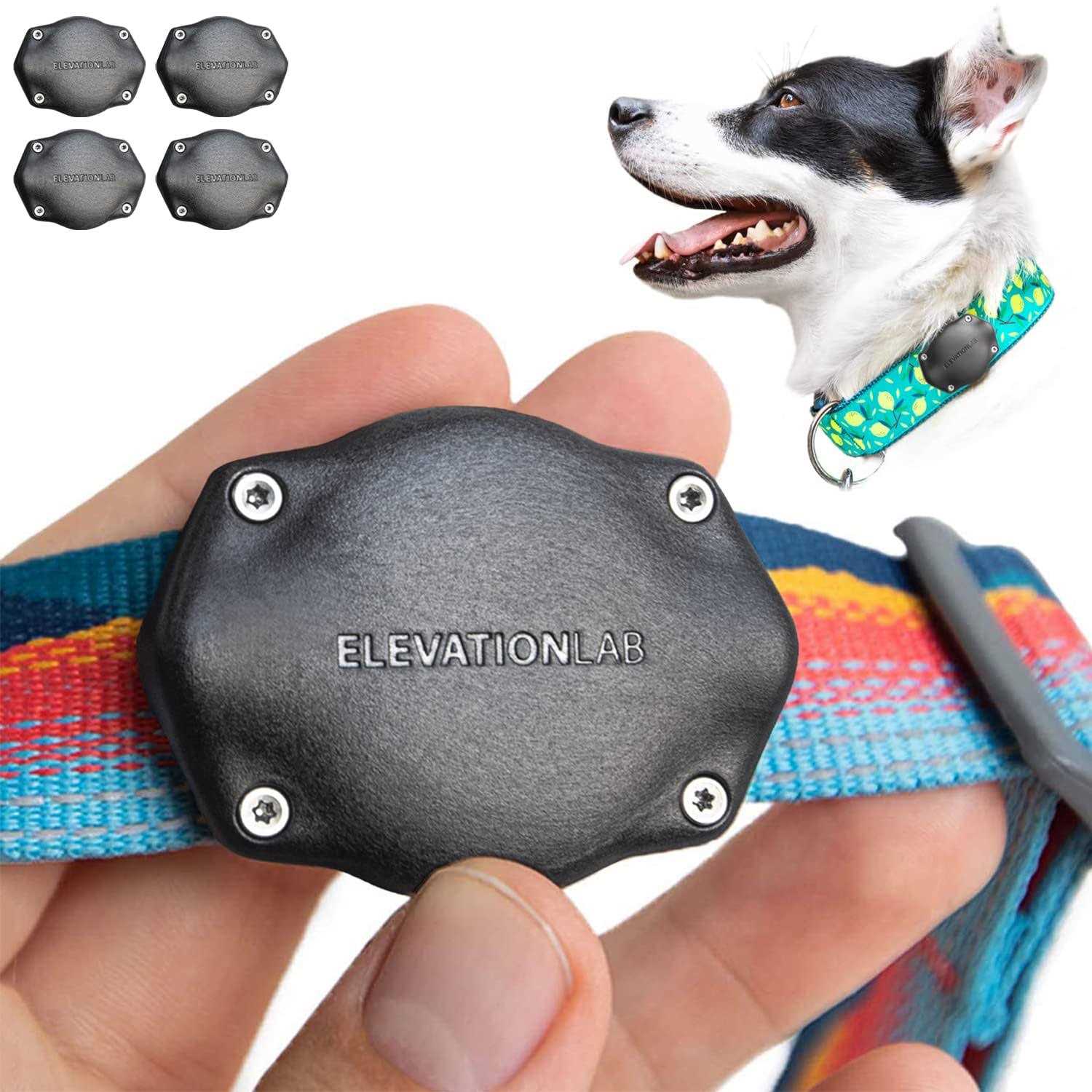 Elevation Lab TagVault Pet The Original AirTag Dog Collar Waterproof Mount