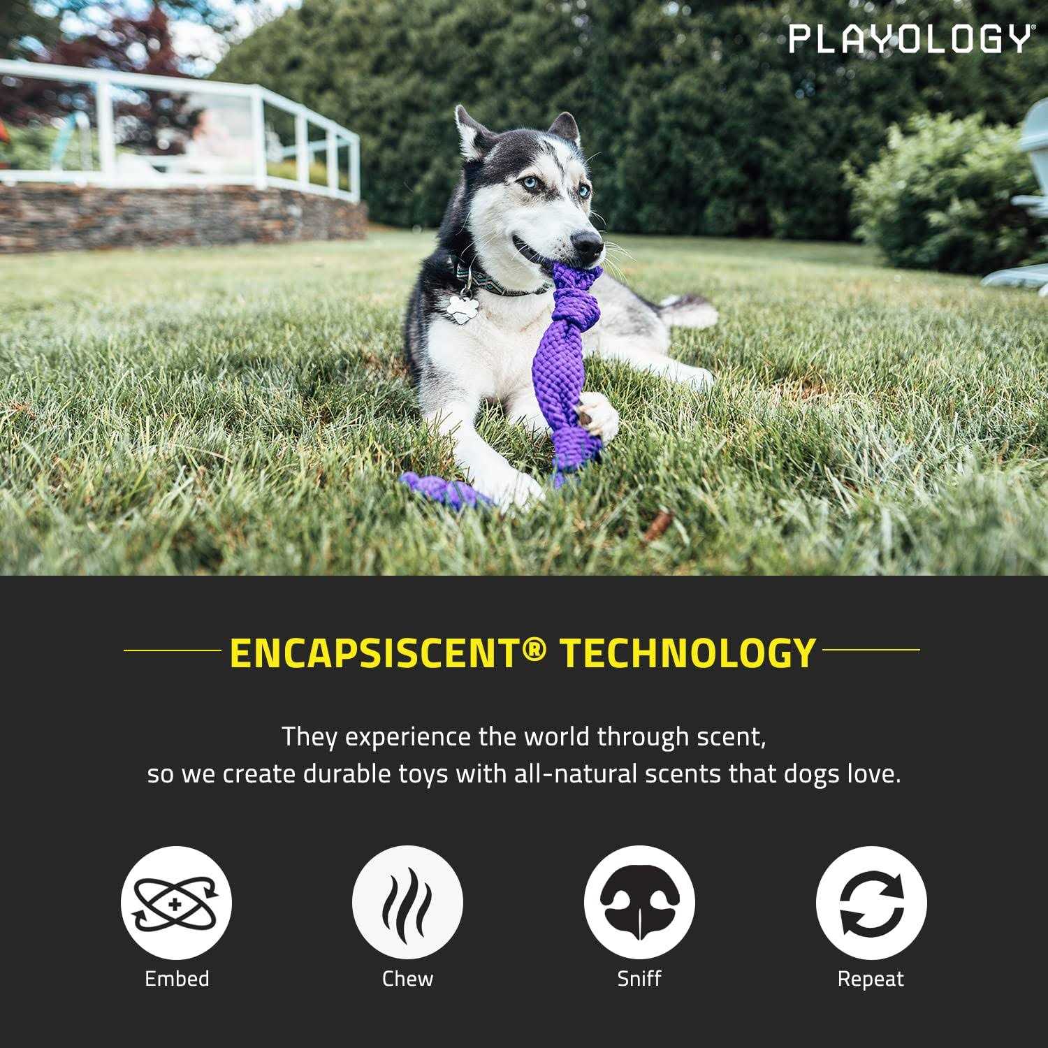 Playology Dri-Tech Dental Rope Peanut Butter Scented Dog Toy