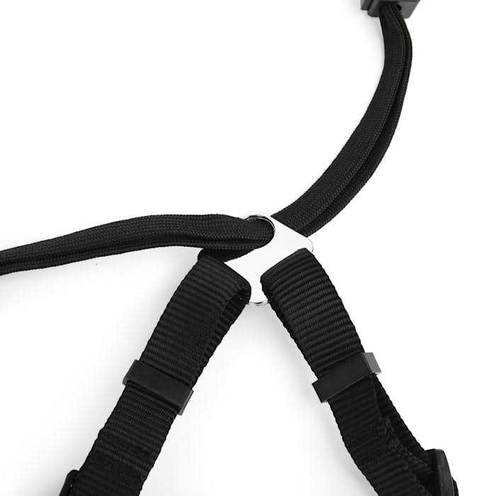 EveryYay Embrace The Pace Black No Pull Dog Harness