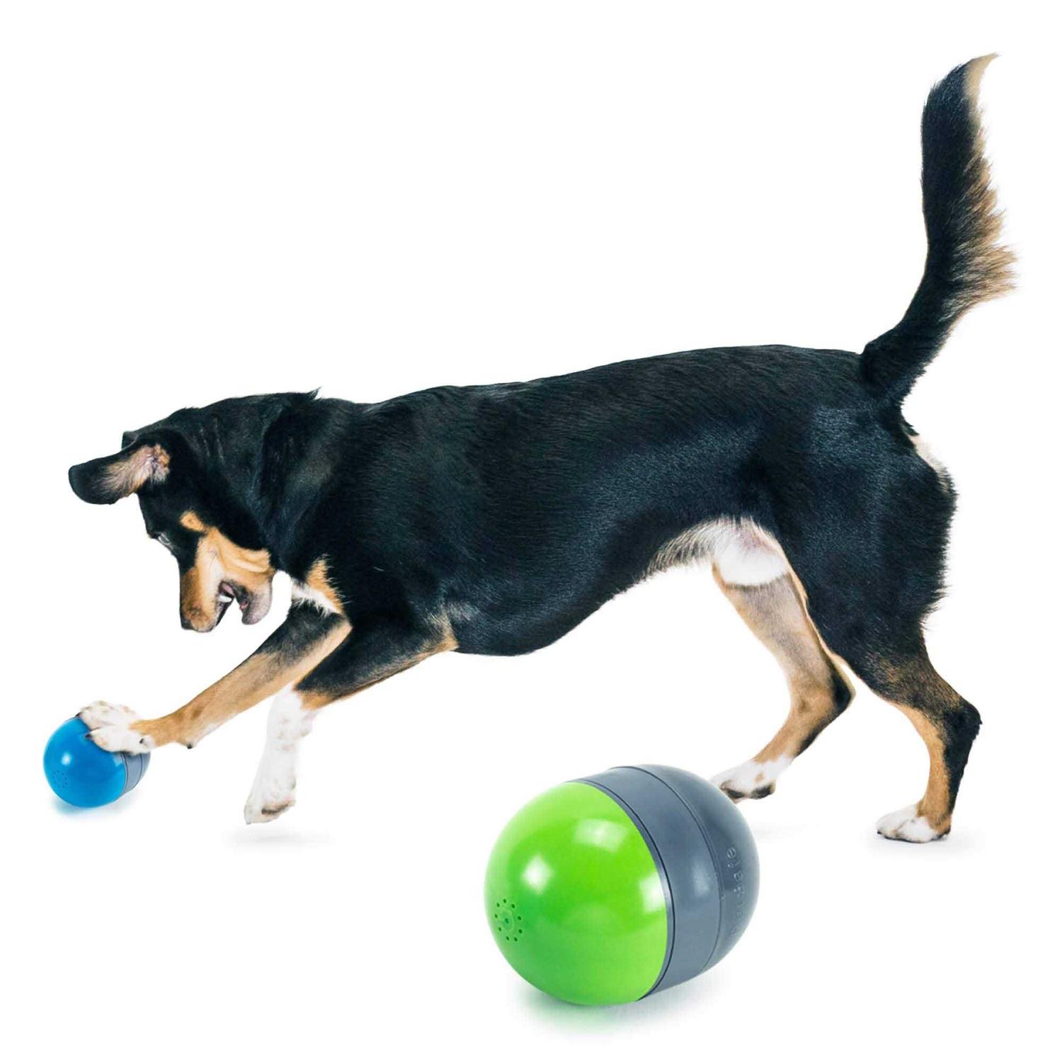 PetSafe Ricochet Electronic Dog Toy