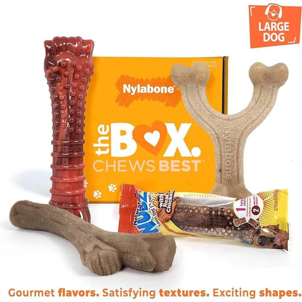 Nylabone The Box Chew Toy & Treat Gift Box Dogs