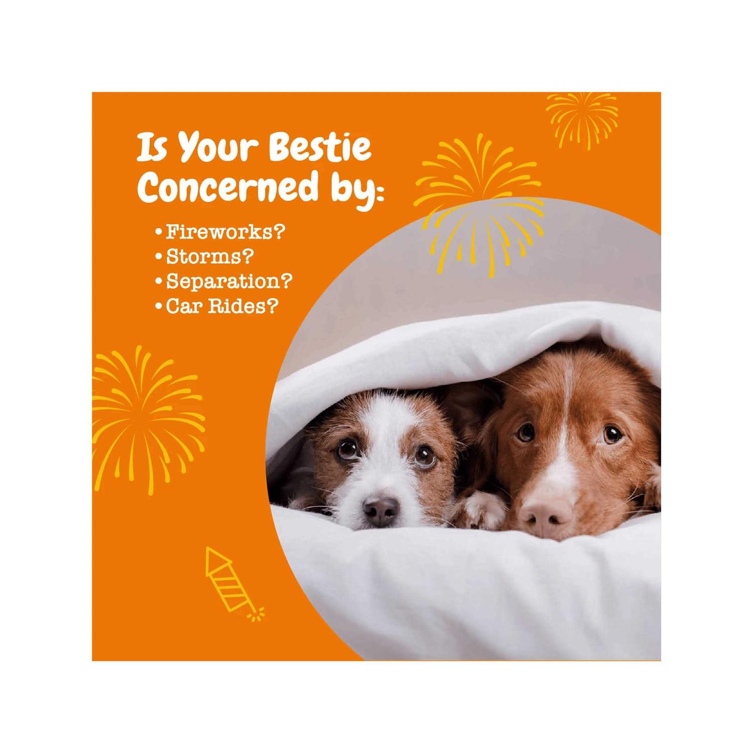 Zesty Paws Calming Bites Soft Chews for Dogs