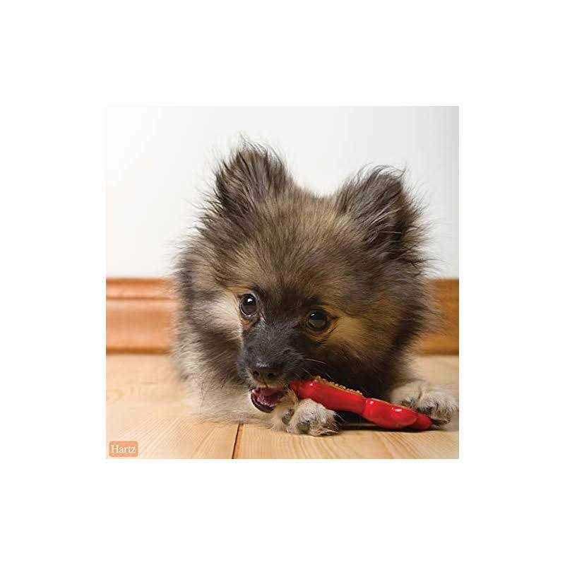 Hartz Chew ‘n Clean Dental Duo Dog Chew Toy Treat