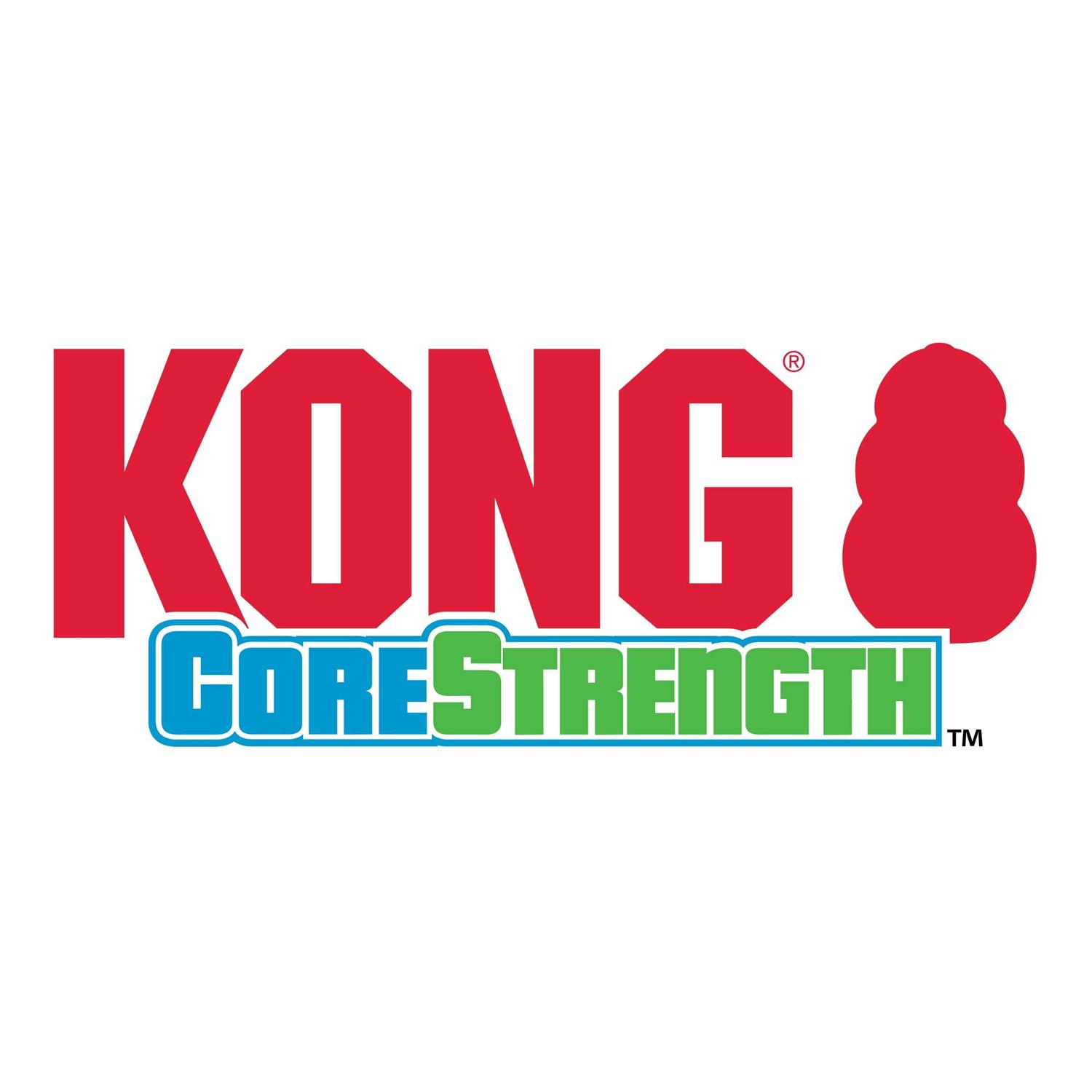 Kong CoreStrength Bone Dog Toy