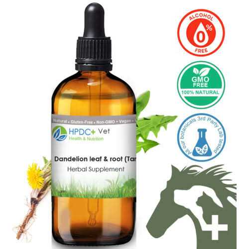 Pet Wellbeing -Dandelion Root for Cat Liver and Digestive Support