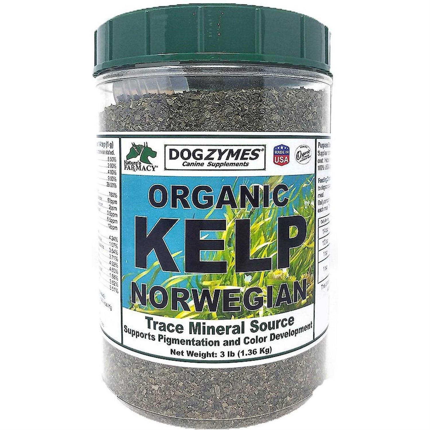 Dogzymes Organic Norwegian Kelp with Organic Garlic