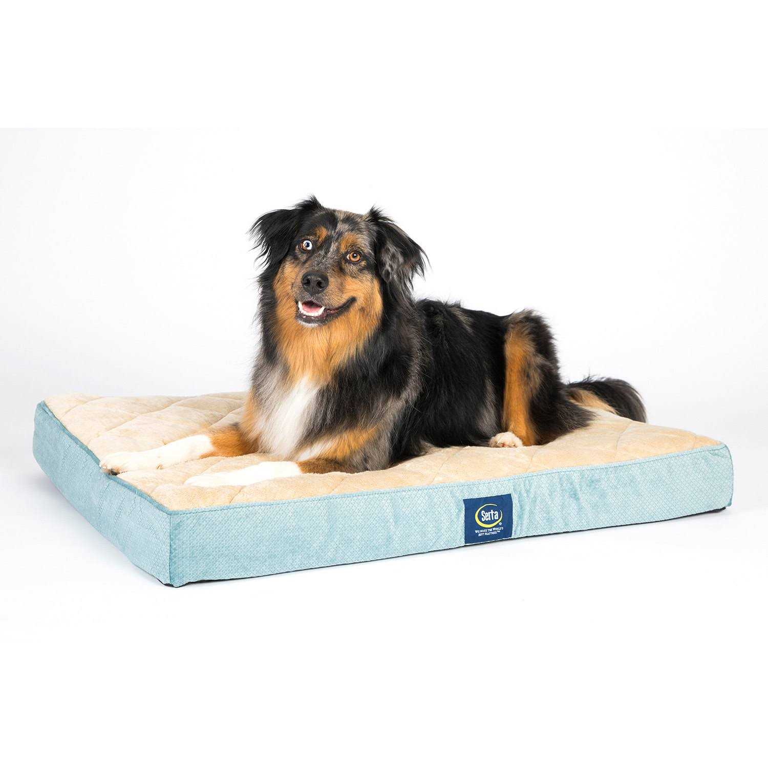Serta Ortho Foam Quilted Pillowtop Pet Bed