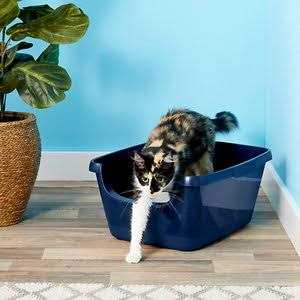 Frisco High Sided Cat Litter Box