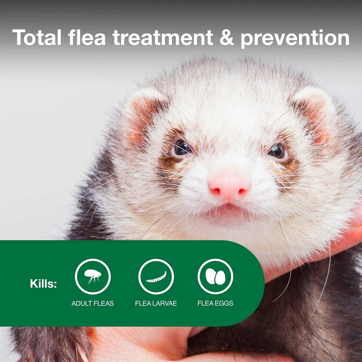 Advantage II Flea Treatment for Ferrets