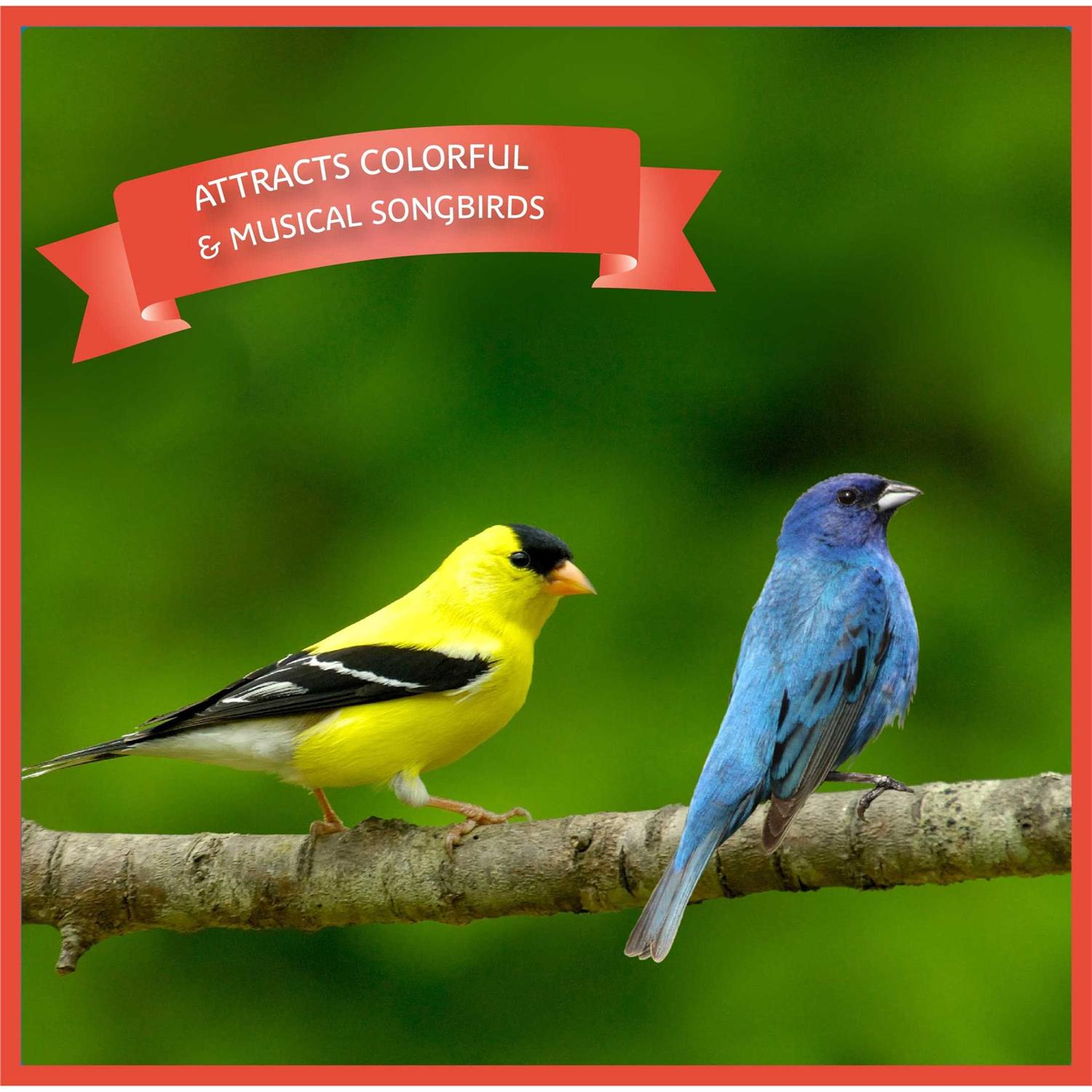 Pennington Ultra Songbird Blend Bird Seed