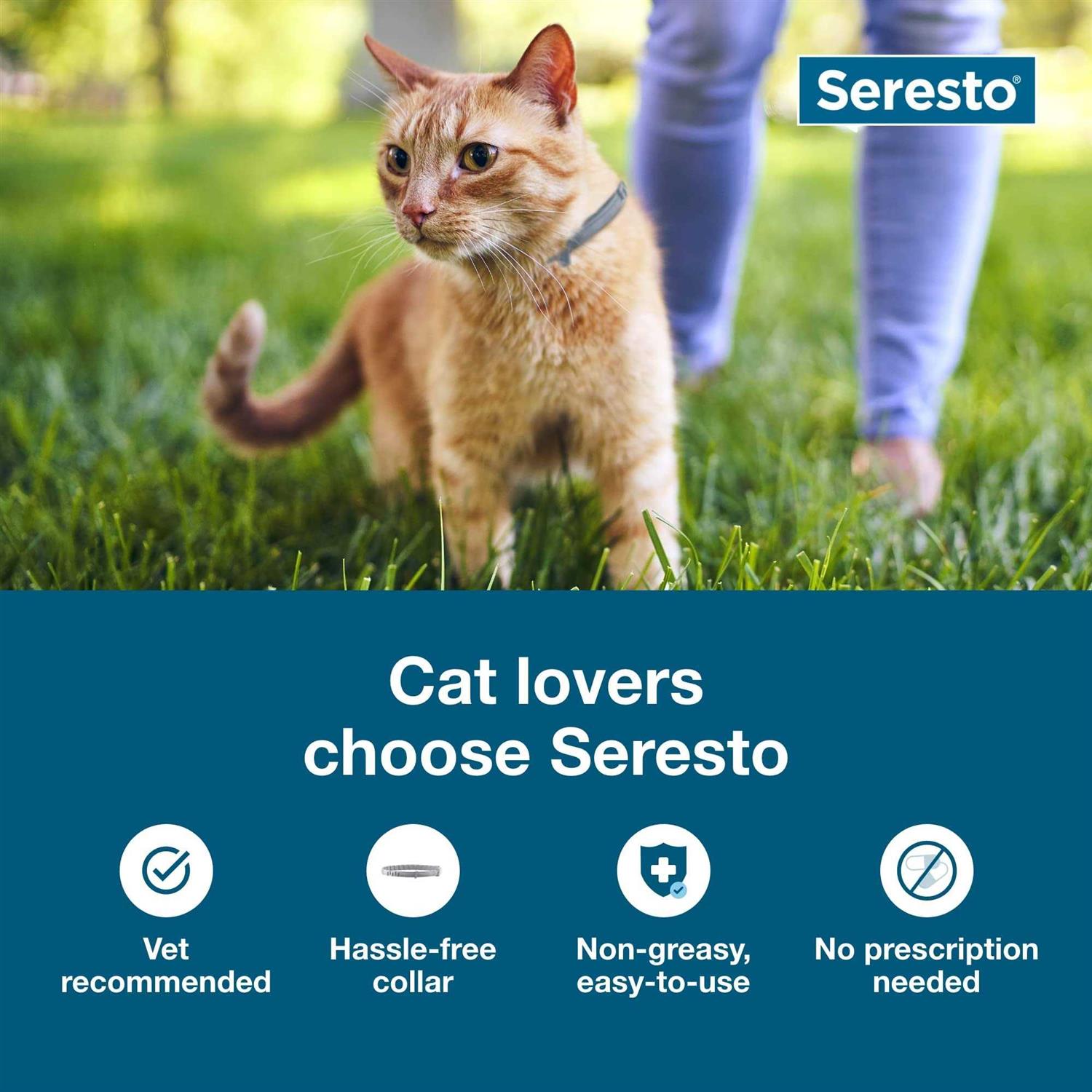Bayer Seresto 8 Month Flea & Tick Prevention Collar for Cats